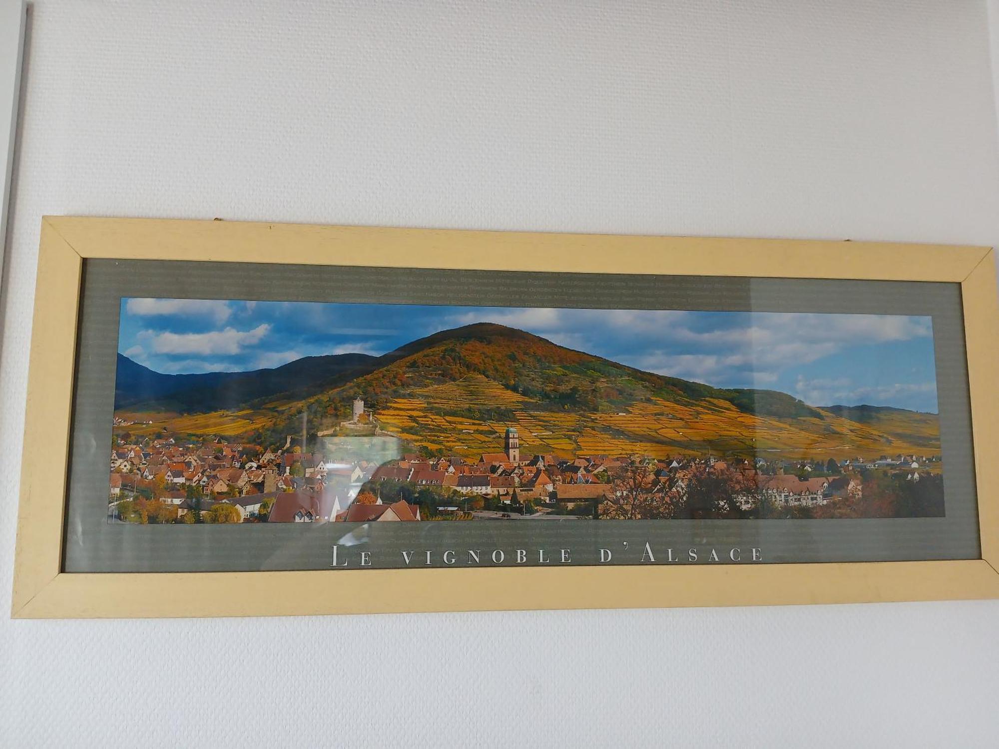 4 Gites Individuels A Kaysersberg Ngoại thất bức ảnh